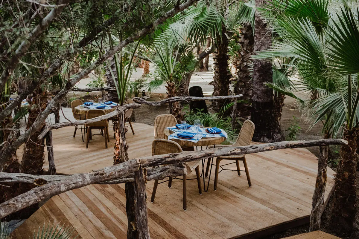 DŪM — Lunch under the palms