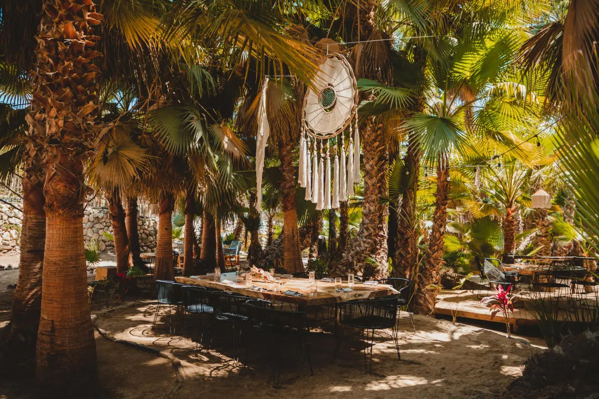 DŪM — Tables in the oasis