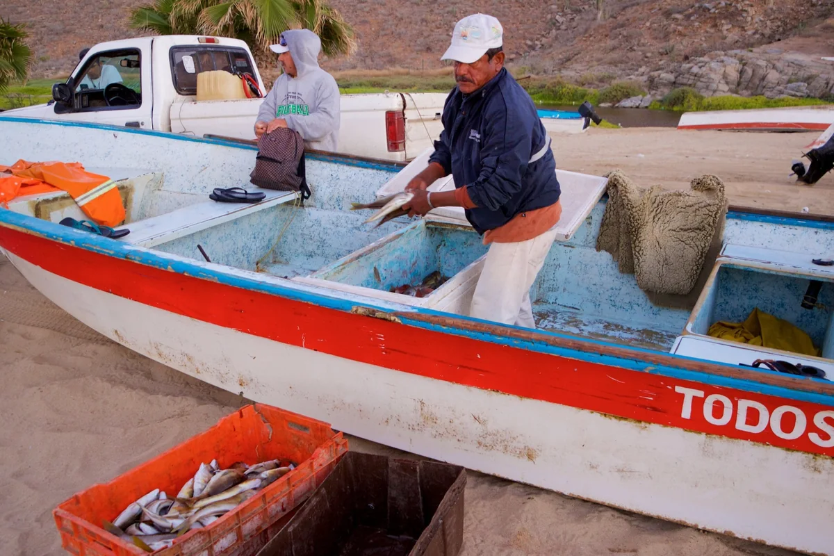 Punta Lobos, Todos Santos · Todos Santos