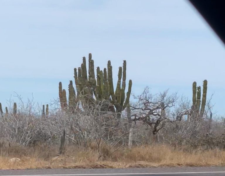 1 HS Highway Pescadero – photo 2