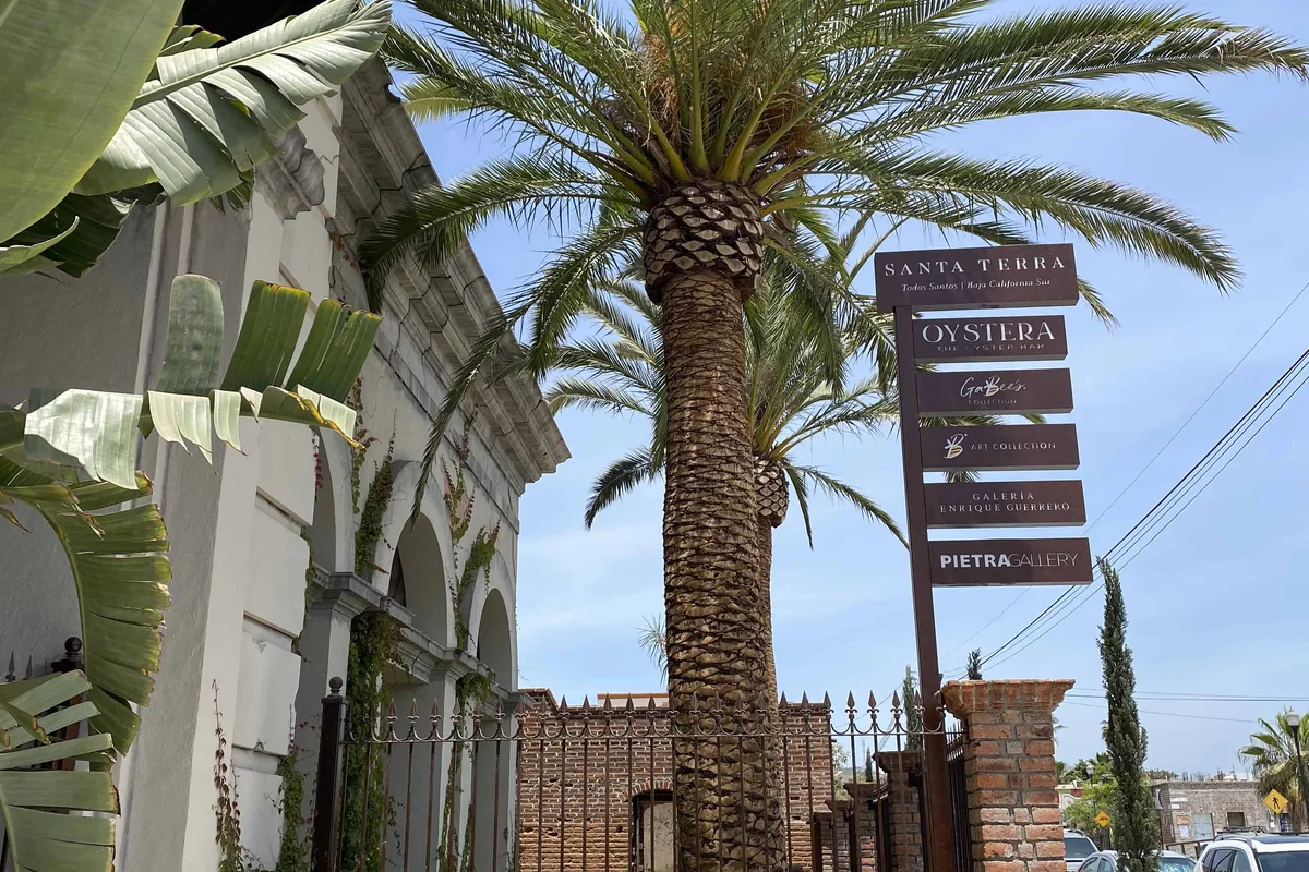 Santa Terra, Centro · Todos Santos