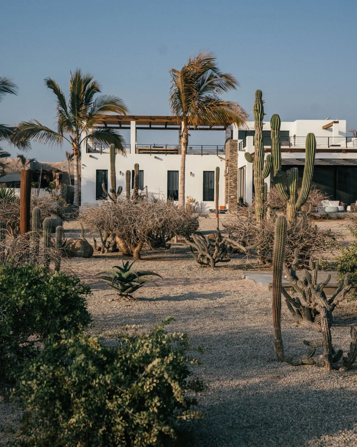 Property in Todos Santos