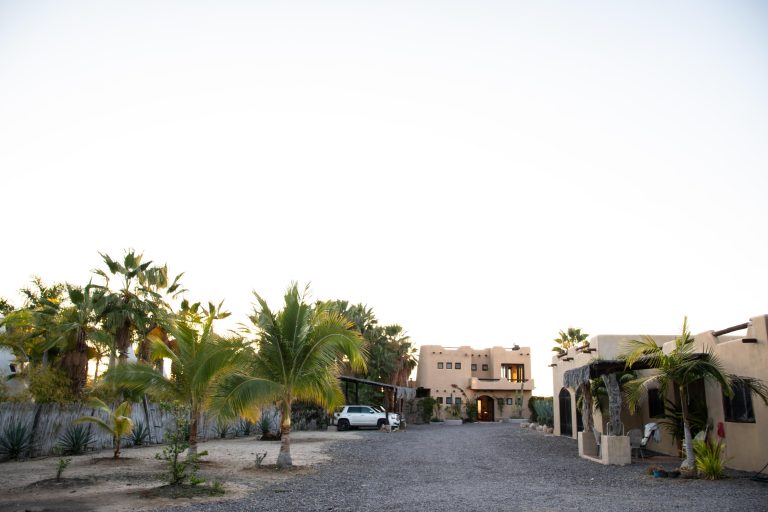 Agave Las Playitas – photo 2
