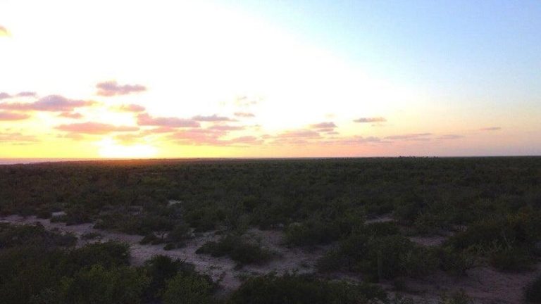 Agua Blanca Lot – photo 5