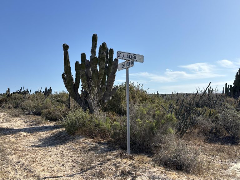 Agua Blanca Lote 4, Mza K/11 – photo 3
