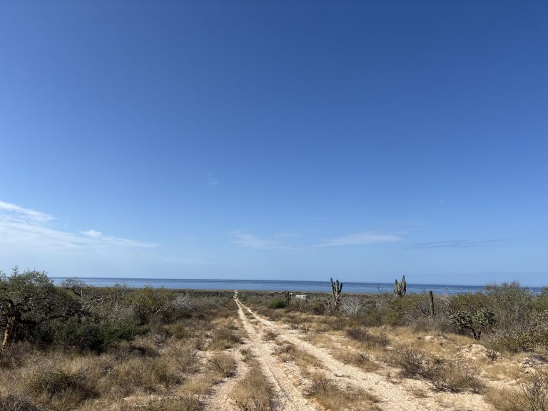 Agua Blanca Lote 4, Mza K/11 – Land for sale in Agua Blanca, Todos Santos North (Las Playitas / Agua Blanca)
