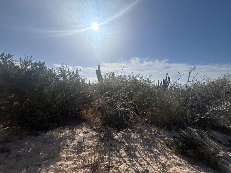 Agua Blanca Mza J10 Lote 18A – Land for sale in Agua Blanca, Todos Santos North (Las Playitas / Agua Blanca)