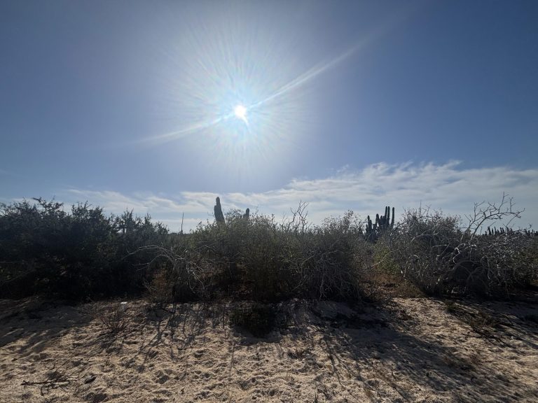 Agua Blanca Mza J10 Lote 18A – photo 2
