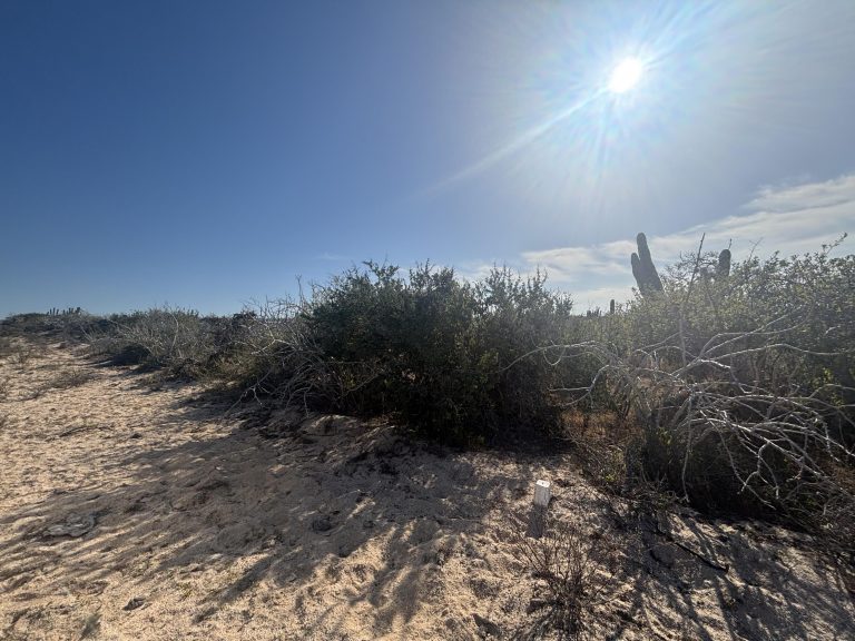 Agua Blanca Mza J10 Lote 18A – photo 4