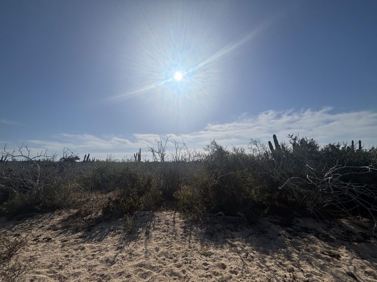 Agua Blanca Mza J10 Lote 18B – Land for sale in Agua Blanca, Todos Santos North (Las Playitas / Agua Blanca)