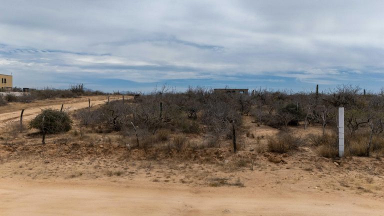 Ahorcadita Big Views – photo 5