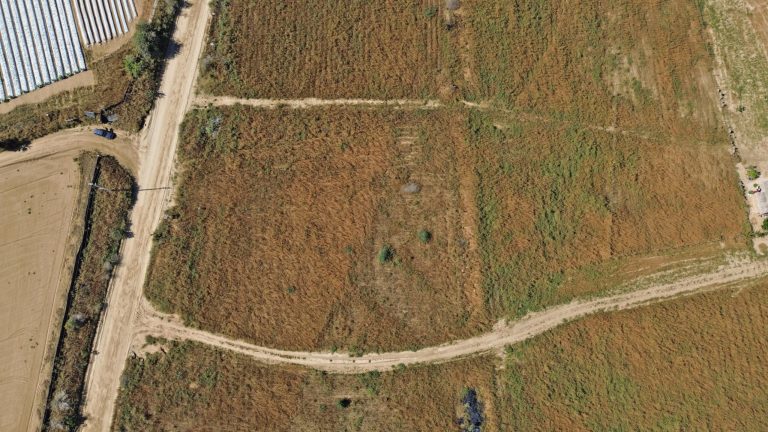 Baja Homestead Lot 2239 – photo 4