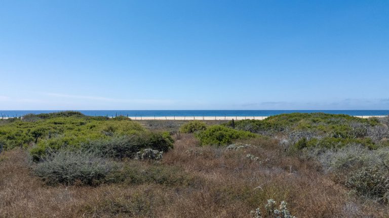 Beach & Huerta Legacy Parcels – photo 5