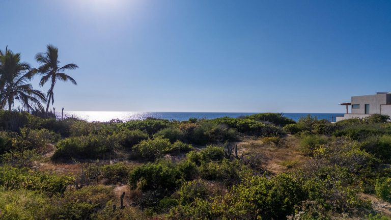 Beachfront 367 – photo 2