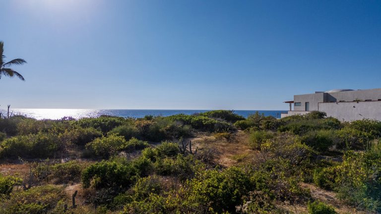 Beachfront 367 – photo 4
