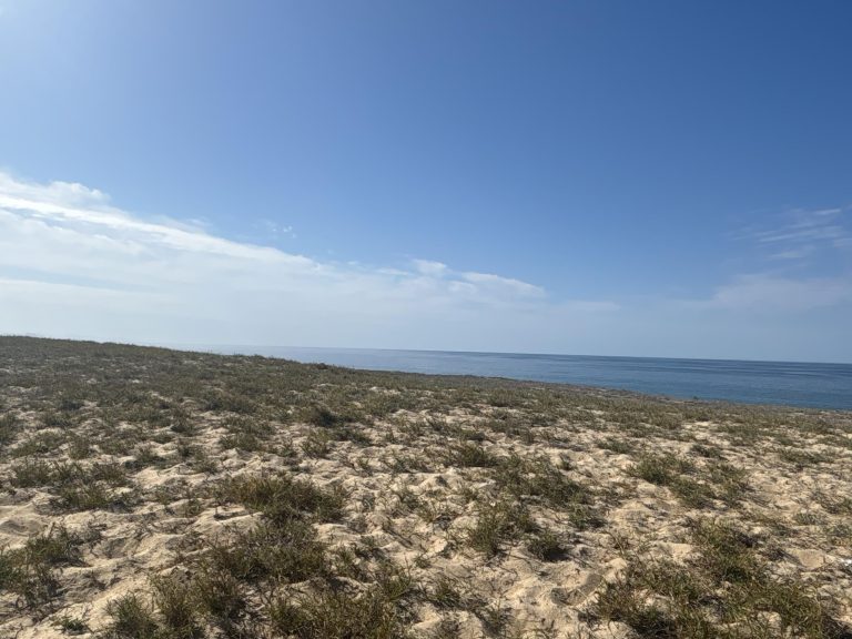 Beachfront Agua Blanca – photo 4