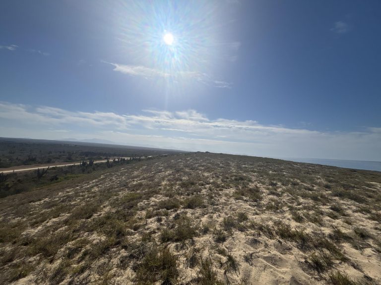 Beachfront Agua Blanca – Land for sale in Agua Blanca, Todos Santos North (Las Playitas / Agua Blanca)
