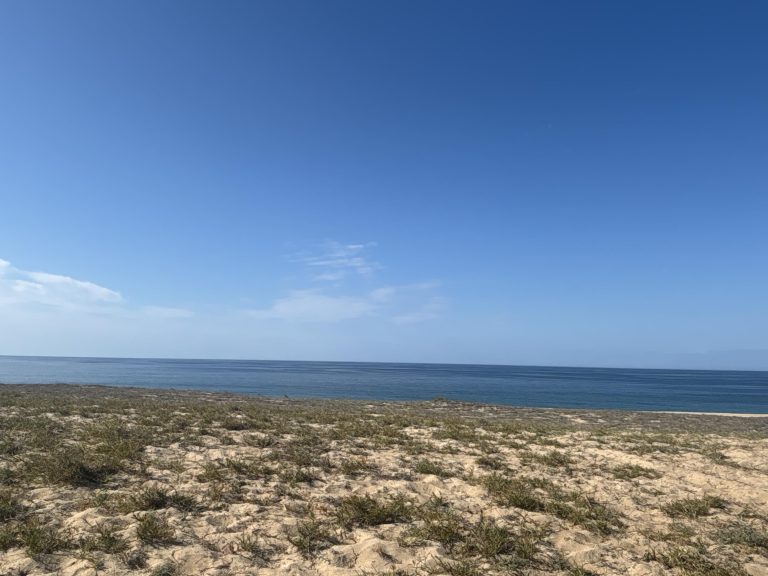 Beachfront Agua Blanca – photo 5