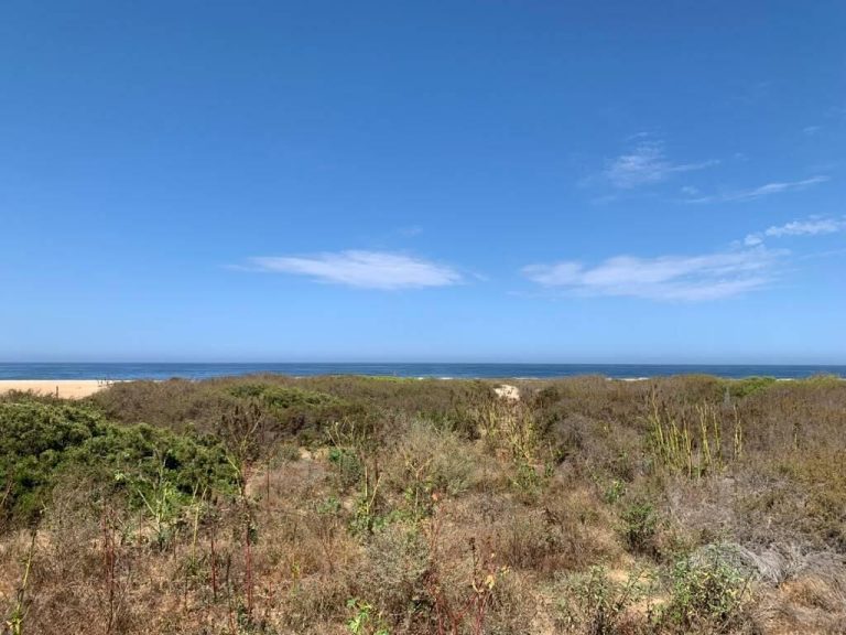 Beachfront Pescadero – Land for sale in Pescadero, El Pescadero