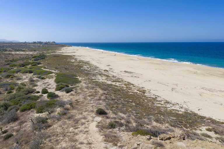 Beachfront San Jacinto Lot – photo 5