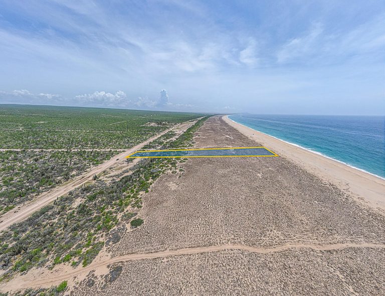 Beachfront – photo 4