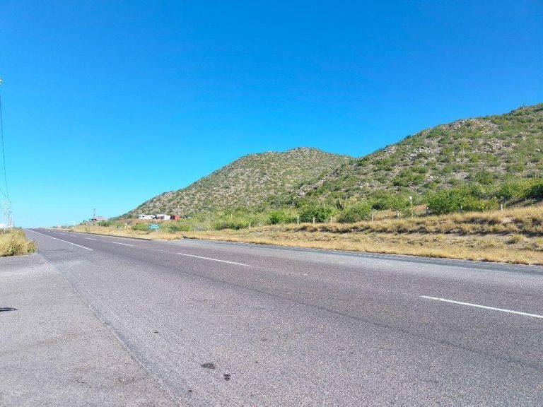 Big land Los Cerritos – photo 5