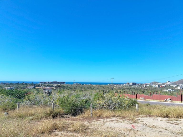 Big land Los Cerritos – photo 3