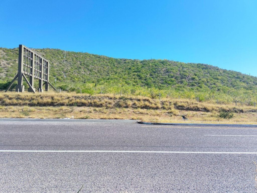 Big land Los Cerritos – photo 1