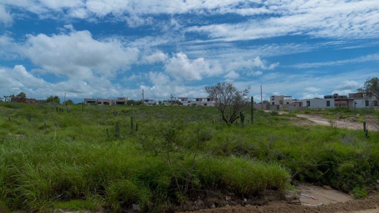 Bocana Paradise D – photo 3