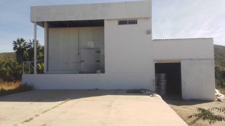Bodega Todos Santos – Commercial for sale in Centro-Todos Santos, Todos Santos