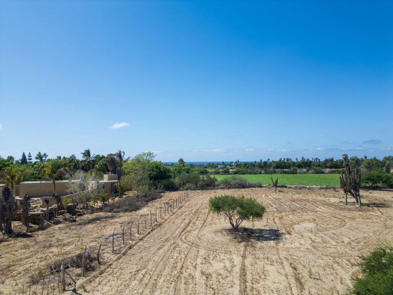 Cactus Farm 1 – photo 5