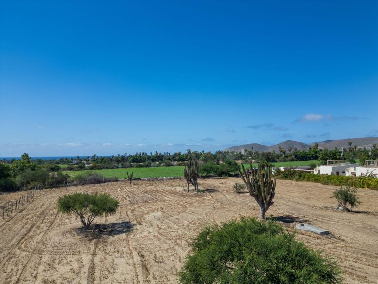 Cactus Farm 1 – photo 4