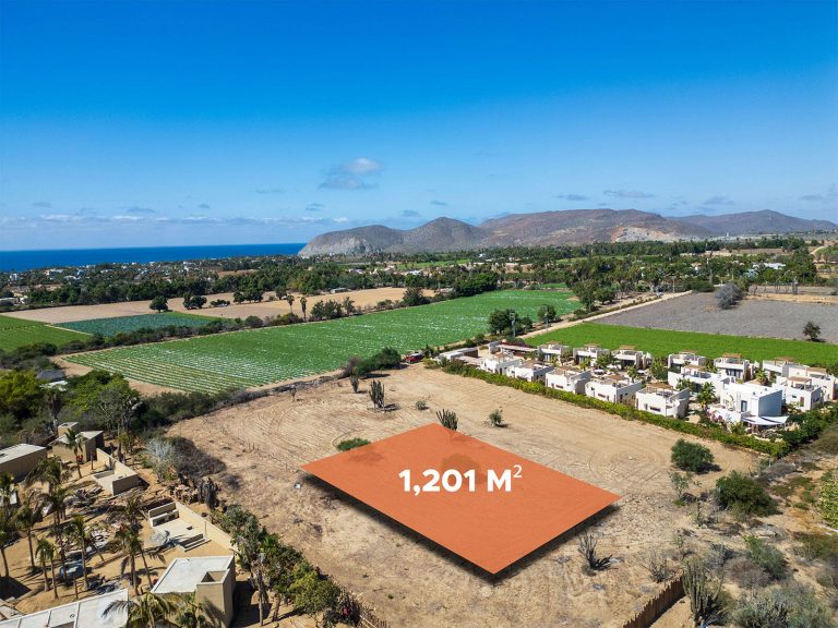 Cactus Farm 1 – Land for sale in Pescadero, El Pescadero