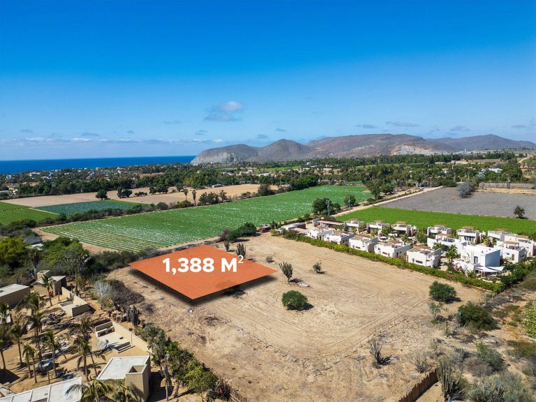 Cactus Farm 2 – Land for sale in Pescadero, El Pescadero