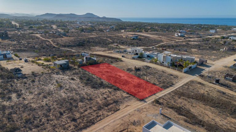 Cactus Wren 1 – Land for sale in Ahorcadita, Todos Santos