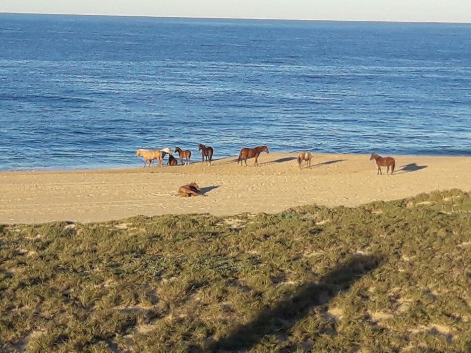 Camino Las Playitas, – photo 1