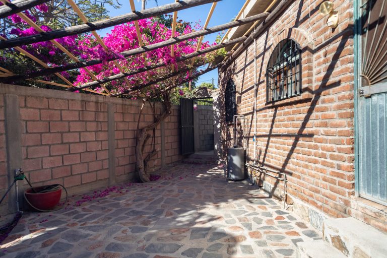 Casa Centro - Todos Santos – photo 2