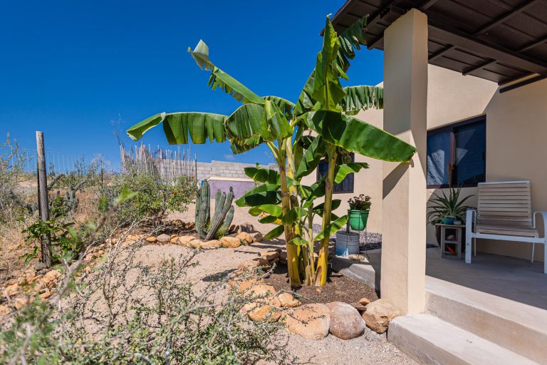 Casa Mariposa – photo 4