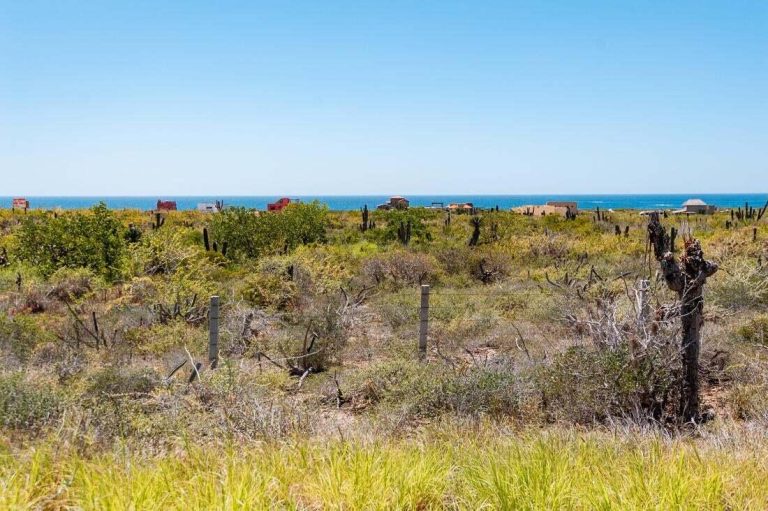 CERRITOS AMAZING LOT HIGH WAY – photo 4