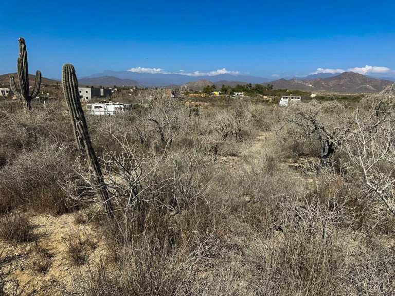 Cerritos Beach Hidden Gem – Land for sale in Cerritos