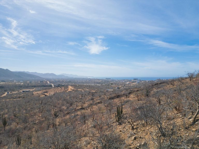 Cerritos Hilltop 881 – photo 5