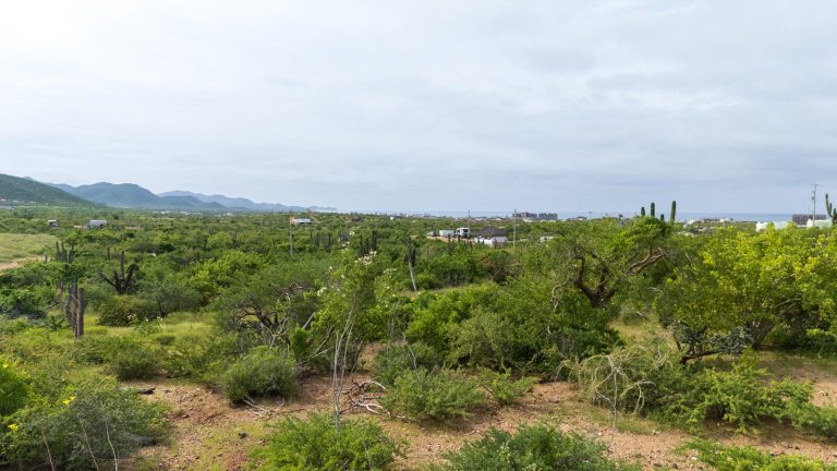 Cerritos Sea View Lot 1665 – photo 3