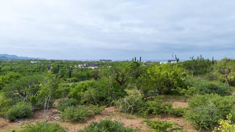 Cerritos Sea View Lot 1665 – photo 2