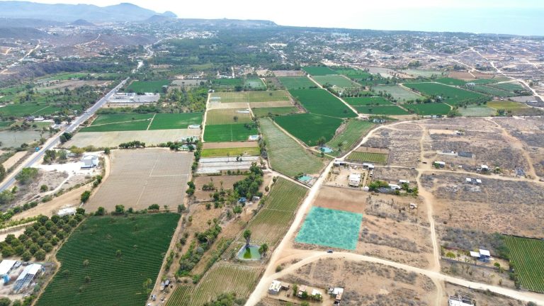 Corner Huerta Lot Todos Santos – Land for sale in Todos Santos-General, Todos Santos
