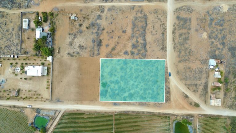 Corner Huerta Lot Todos Santos – photo 4