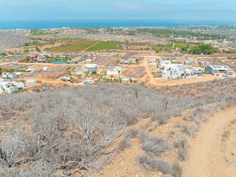 Corona Del Pacifico 686 – photo 2