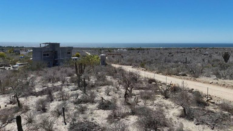 El Torote – photo 3