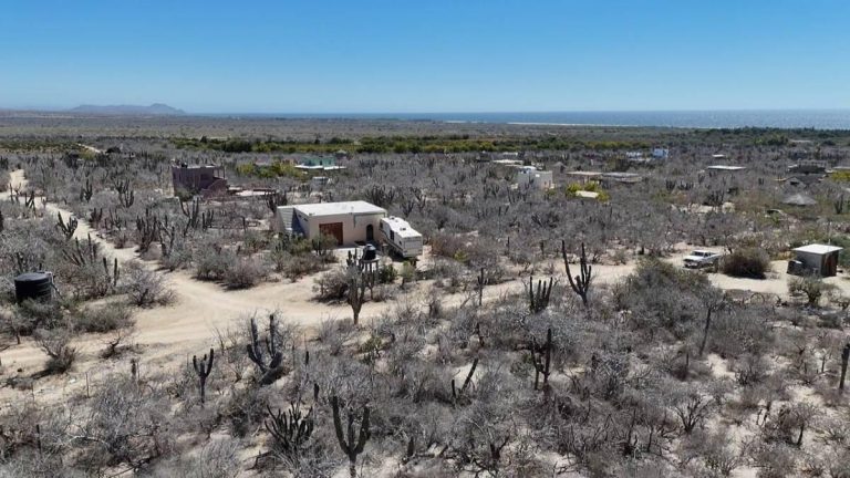 El Torote – photo 2