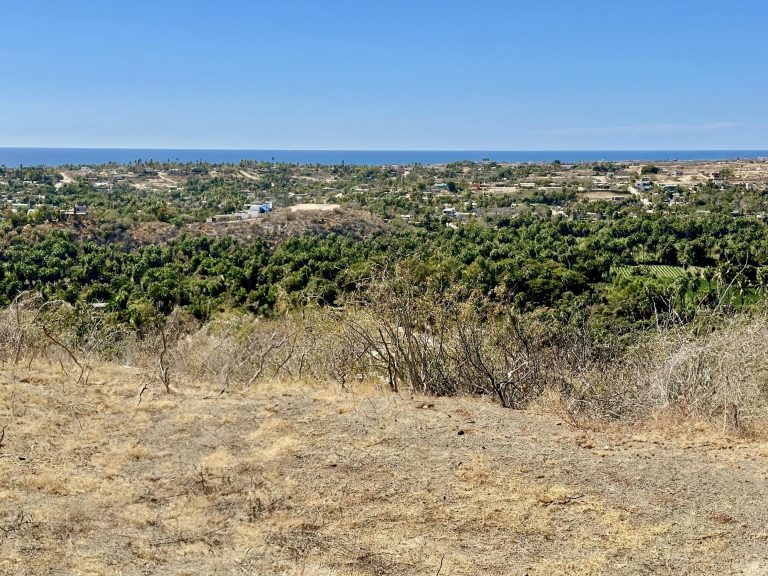 Elevated Ocean View – photo 5
