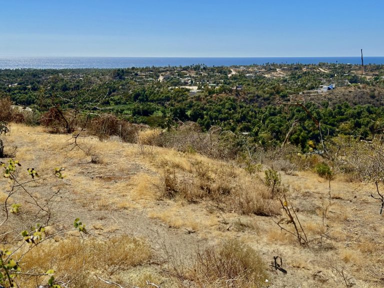 Elevated Ocean View – photo 2